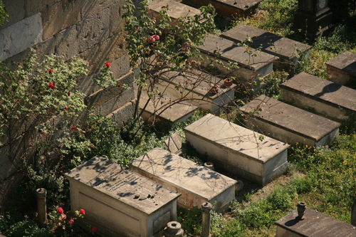 [Picture: Jewish Cemetary 27: Graves and Roses 1]