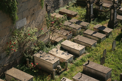 [Picture: Jewish Cemetary 28: Graves and Roses 2]