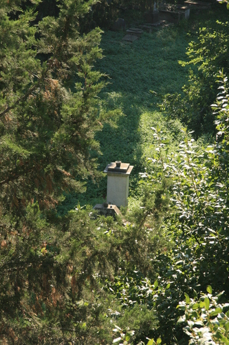 [Picture: Jewish Cemetary 31: distant monument]