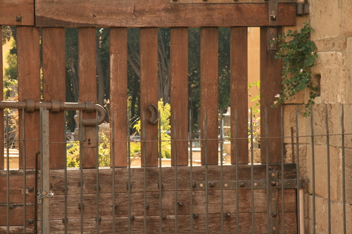 [Picture: Jewish Cemetary 38: through the gate 1]