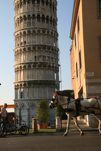 [Picture: Horse and Carriage 1]