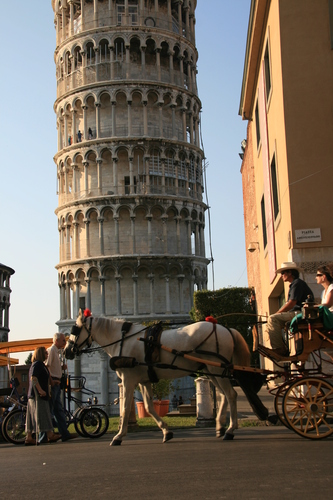 [Picture: Horse and Carriage 2]