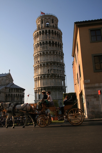 [Picture: Horse and Carriage 3]