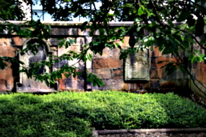 [picture: Tombs in the sun 1]