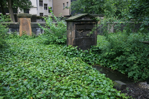 [Picture: Overgrown Churchyard 1]