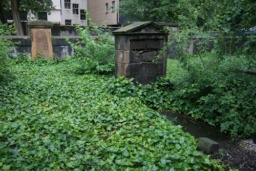 [Picture: Overgrown Churchyard 2]
