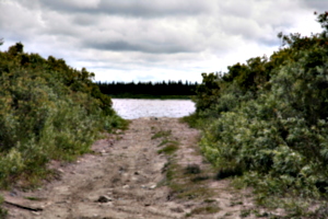 [picture: Path to the River]