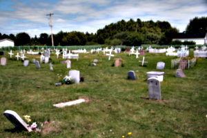[picture: Cemetary, wider view]