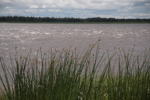 [Picture: Moose River Sparkles]