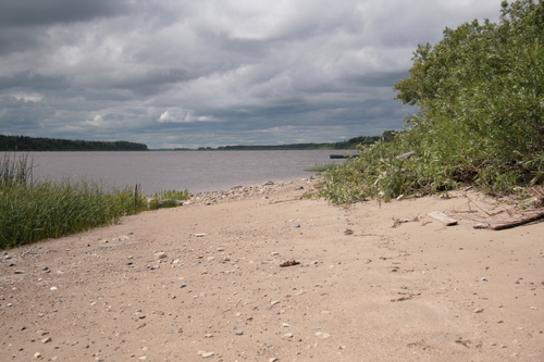 [Picture: Sandy beach 1]