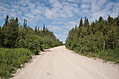 [Picture: Dirt Road]