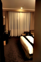 [Picture: Hotel Room 1]