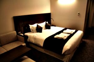 [Picture: Hotel Room 2]