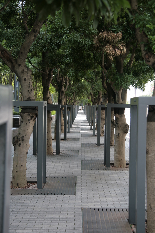 [Picture: Line of trees 1]