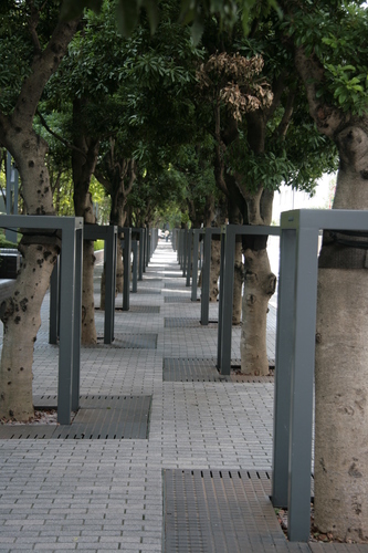 [Picture: Line of trees 2]