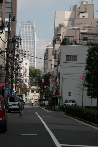 [Picture: Pink lanterns]