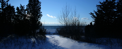 [Picture: Path to the beach]