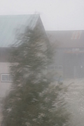 [Picture: Moving tree, crouching building]