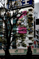 [picture: Big square 9: Yen shop tree 2]