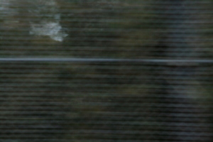 [picture: blurred fence texture]