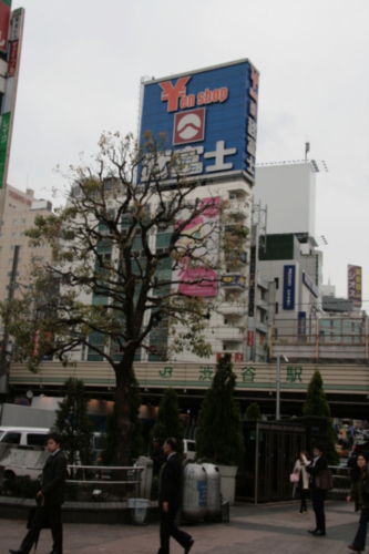 [Picture: Big square 8: Yen shop tree 1.]
