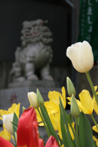 [Picture: Japanese temple 36]