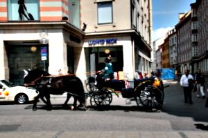[picture: Horse and cart]
