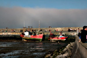[picture: Boats in the harbour 2]