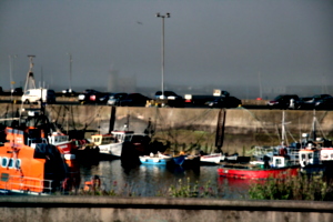 [picture: Boats 6]