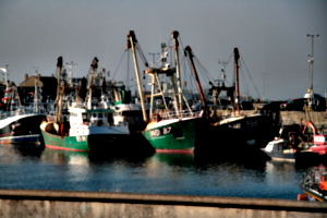 [picture: Boats 8]