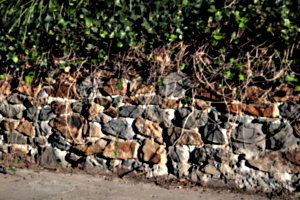 [picture: Stone wall 2]