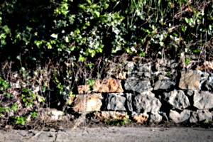 [picture: Stone wall 3]