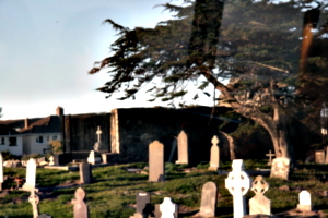 [picture: Graveyard 1]