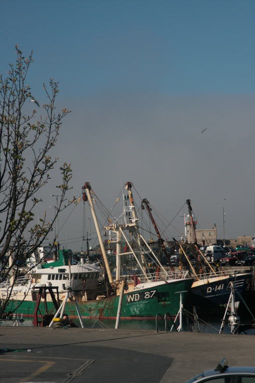 [Picture: Boats in the harbour]