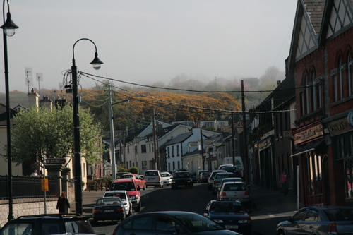 [Picture: Howth and Heather 1]