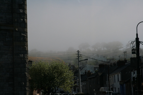 [Picture: Trees in the mist]