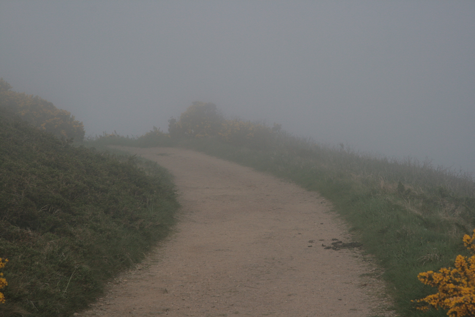 [Picture: Path through the mist 1]