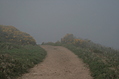 [Picture: Path through the mist 2]