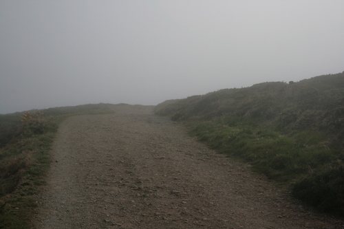 [Picture: Path through the mist 4]