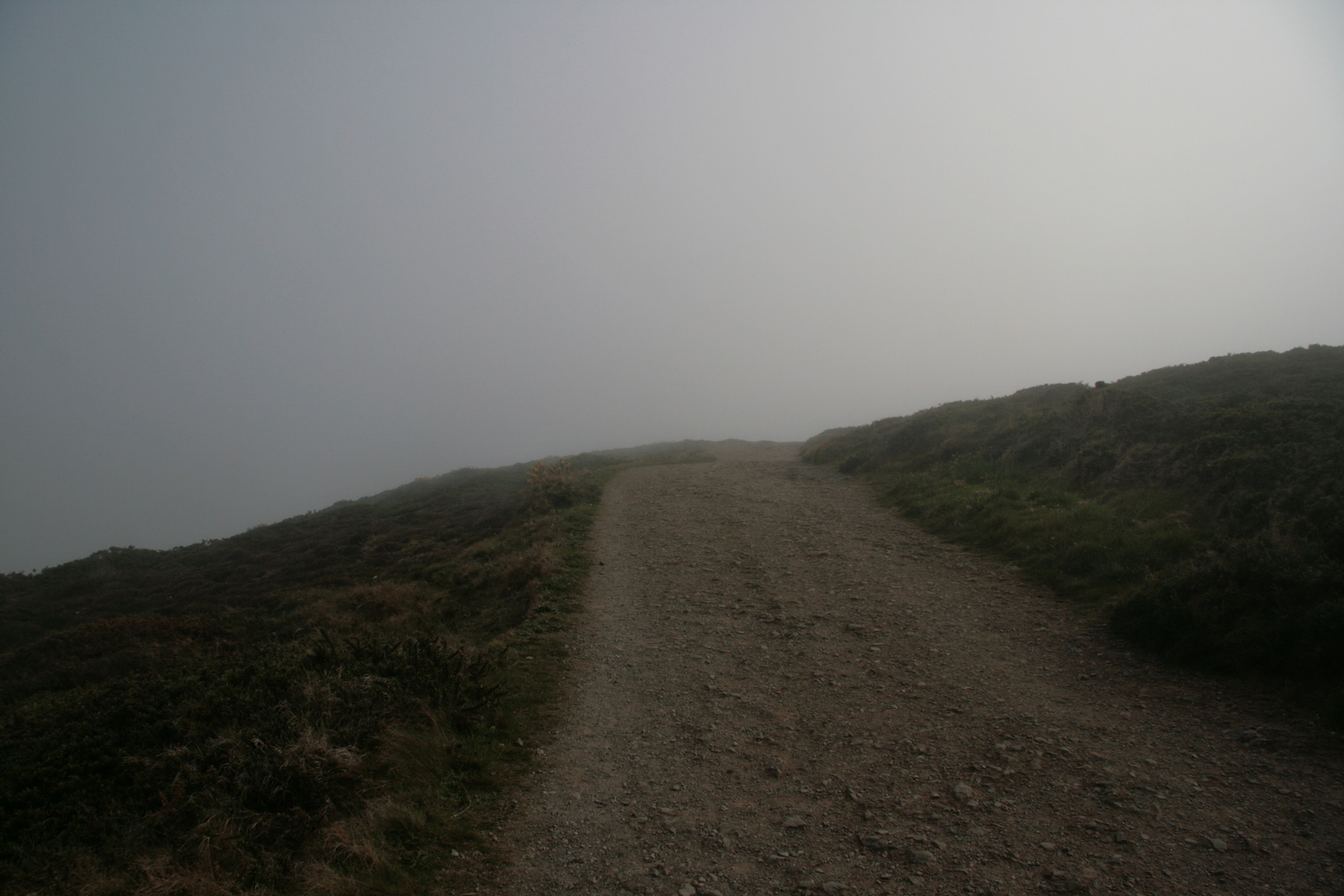 [Picture: Path through the mist 5]