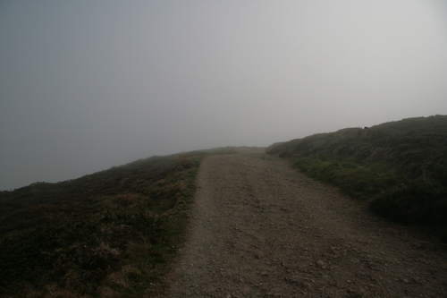 [Picture: Path through the mist 5]