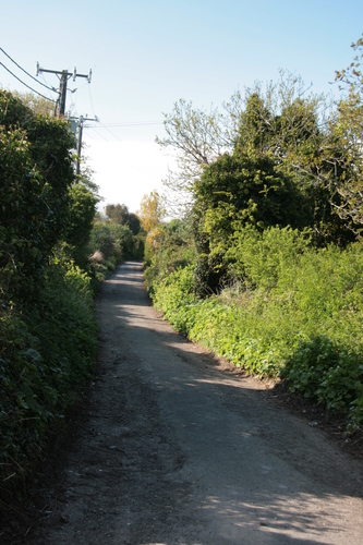 [Picture: Country lane]