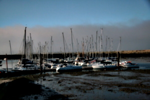 [Picture: Boats 2]