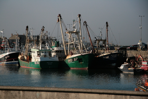 [Picture: Boats 8]