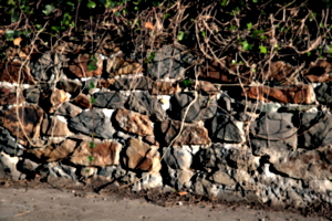 [Picture: Stone wall 1]