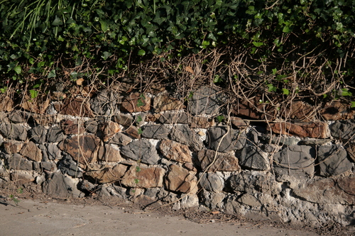 [Picture: Stone wall 2]