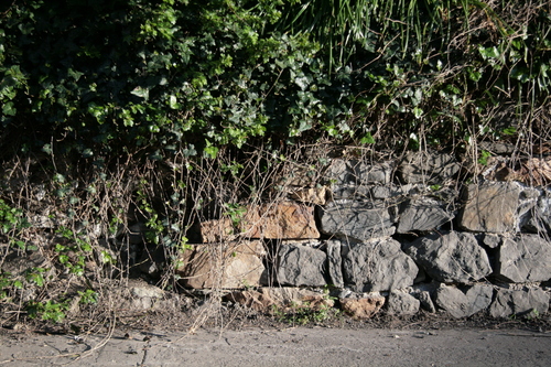 [Picture: Stone wall 3]