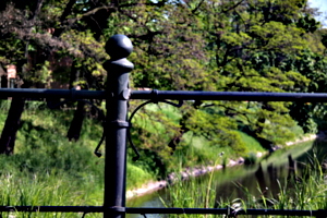 [picture: iron fence]