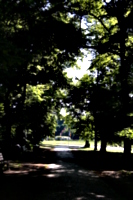 [picture: A Walk in the Park 2]