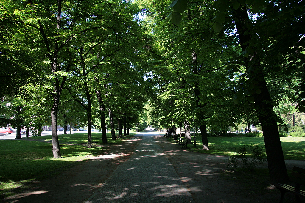[Picture: A Walk in the Park 1]